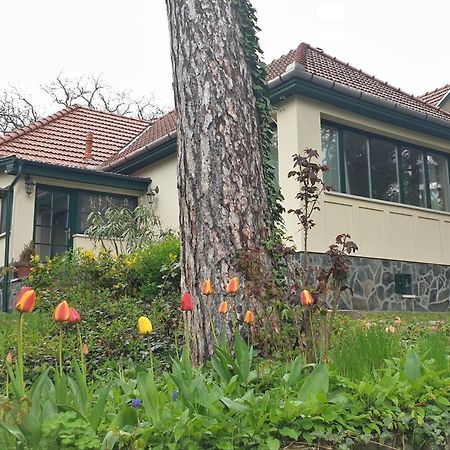 Edit Villa Matrafured Exterior photo