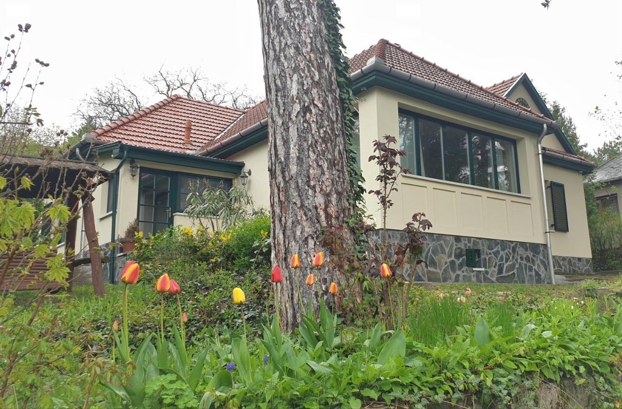 Edit Villa Matrafured Exterior photo